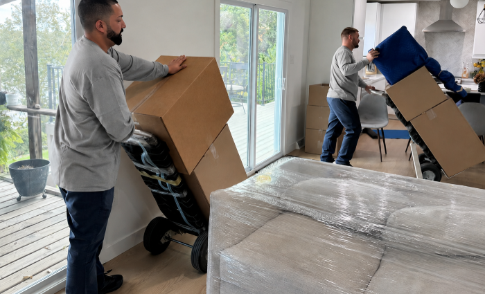 Decluttering & Clean Outs: What Families Need to Know